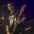 GutterPunk - Professional Concert Photography